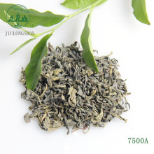 Hot Selling Jiulongshan 7500a Organic Chinese Green Brands Chunmee Tea